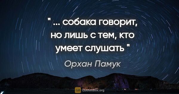 Орхан Памук цитата: "" ... собака говорит, но лишь с тем, кто умеет слушать ""