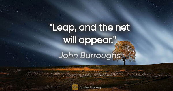 John Burroughs quote: "Leap, and the net will appear."