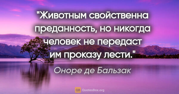 Оноре де Бальзак цитата: "Животным свойственна преданность, но никогда человек не..."