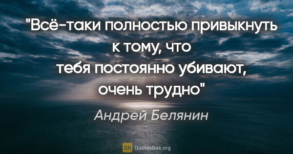 Андрей Белянин цитата: "Всё-таки полностью привыкнуть к тому, что тебя постоянно..."