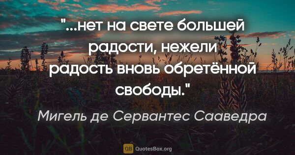 Мигель де Сервантес Сааведра цитата: "нет на свете большей радости, нежели радость вновь обретённой..."