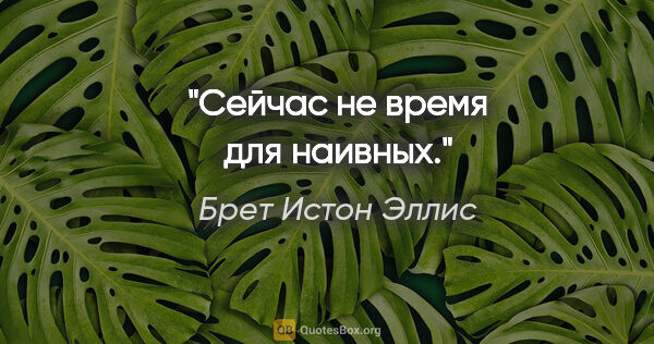 Брет Истон Эллис цитата: "Сейчас не время для наивных."