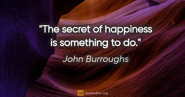 John Burroughs quote: "The secret of happiness is something to do."
