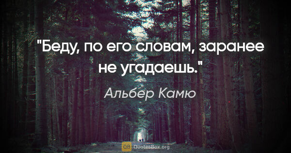 Альбер Камю цитата: "Беду, по его словам, заранее не угадаешь."