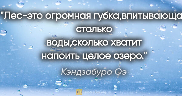 Кэндзабуро Оэ цитата: "Лес-это огромная губка,впитывающая столько воды,сколько хватит..."