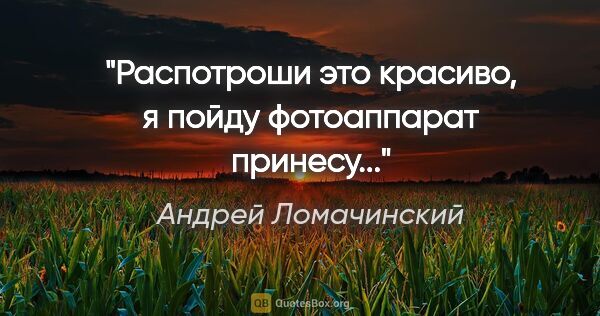 Андрей Ломачинский цитата: ""Распотроши это красиво, я пойду фотоаппарат принесу...""