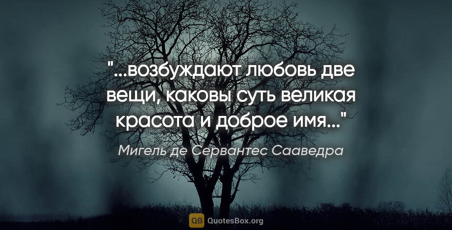 Мигель де Сервантес Сааведра цитата: "возбуждают любовь две вещи, каковы суть великая красота и..."