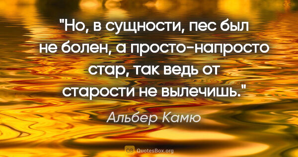 Альбер Камю цитата: "Но, в сущности, пес был не болен, а просто-напросто стар, так..."