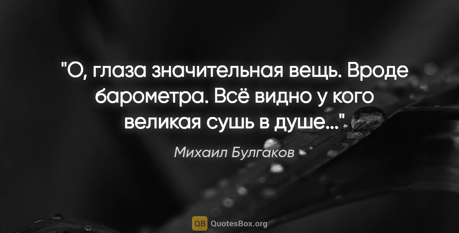 Михаил Булгаков цитата: "О, глаза значительная вещь. Вроде барометра. Всё видно у кого..."