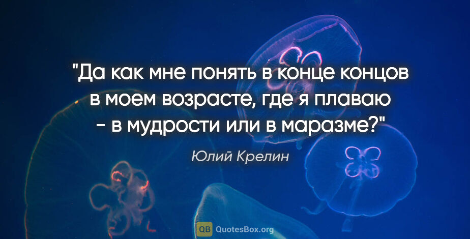 Юлий Крелин цитата: "Да как мне понять в конце концов в моем возрасте, где я плаваю..."