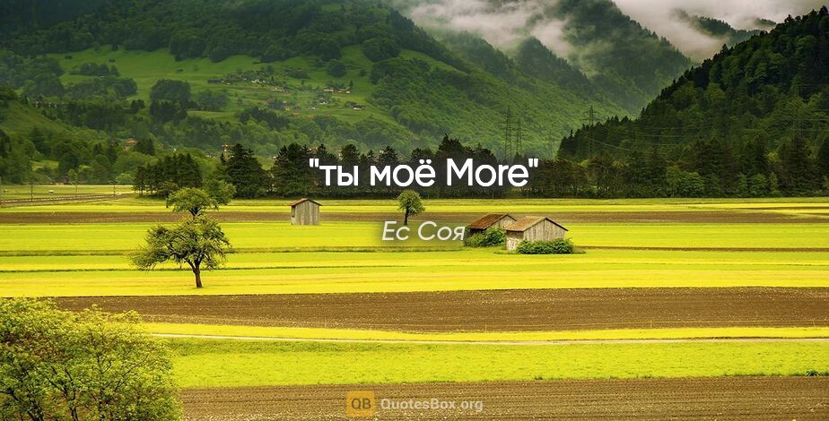 Ес Соя цитата: "ты моё More"