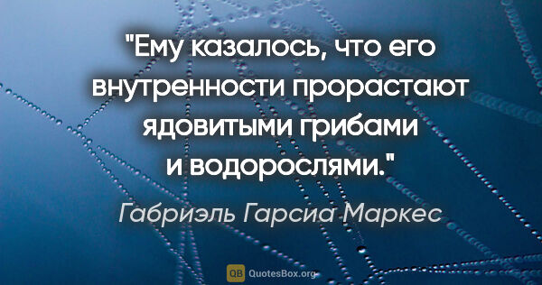 Габриэль Гарсиа Маркес цитата: "Ему казалось, что его внутренности прорастают ядовитыми..."