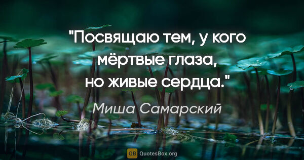 Миша Самарский цитата: "Посвящаю тем, у кого мёртвые глаза, но живые сердца."