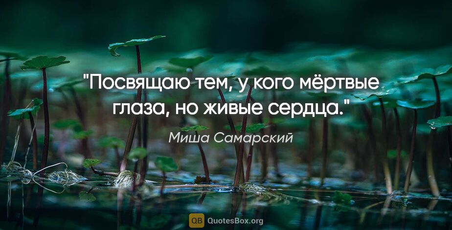 Миша Самарский цитата: "Посвящаю тем, у кого мёртвые глаза, но живые сердца."