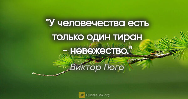 Виктор Гюго цитата: "У человечества есть только один тиран - невежество."