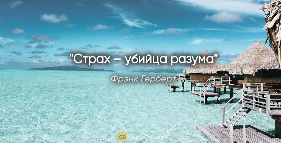 Фрэнк Герберт цитата: "«Страх – убийца разума»"