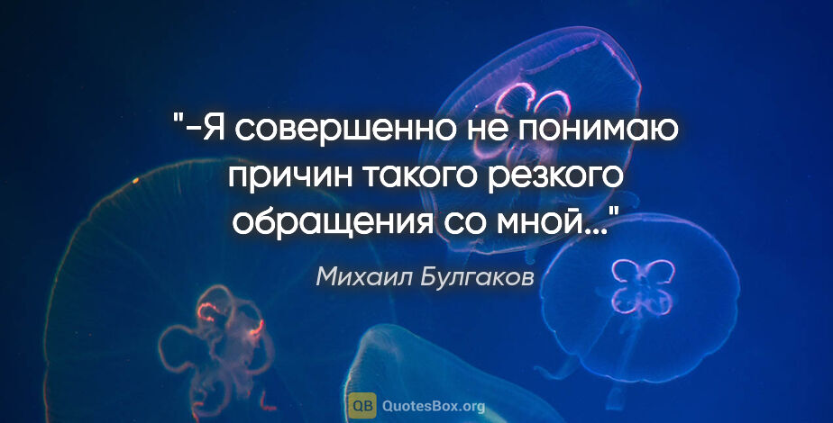 Михаил Булгаков цитата: "-Я совершенно не понимаю причин такого резкого обращения со..."