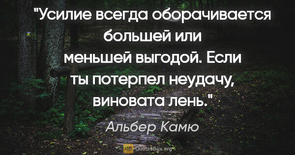 Альбер Камю цитата: "Усилие всегда оборачивается большей или меньшей выгодой. Если..."