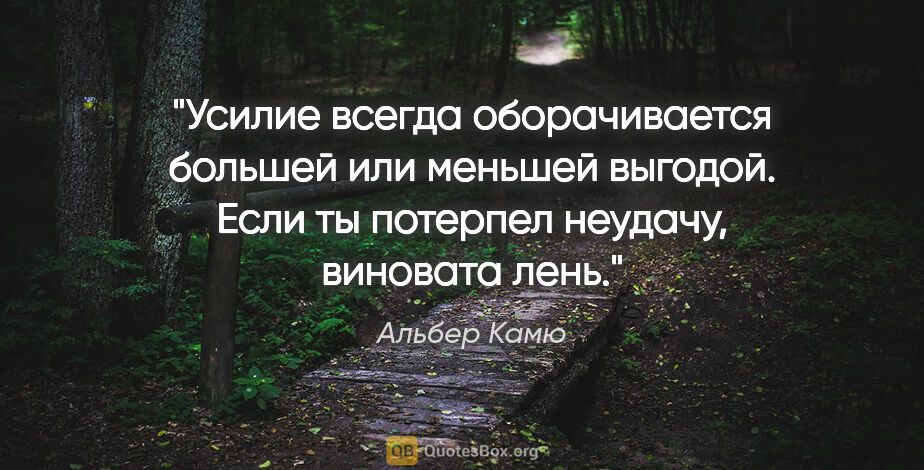 Альбер Камю цитата: "Усилие всегда оборачивается большей или меньшей выгодой. Если..."