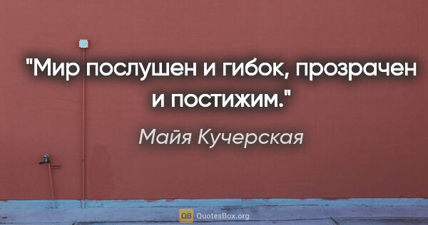 Майя Кучерская цитата: "Мир послушен и гибок, прозрачен и постижим."