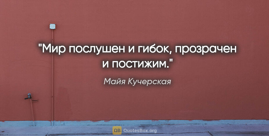 Майя Кучерская цитата: "Мир послушен и гибок, прозрачен и постижим."