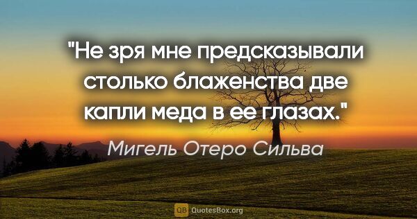 Мигель Отеро Сильва цитата: "Не зря мне предсказывали столько блаженства две капли меда в..."