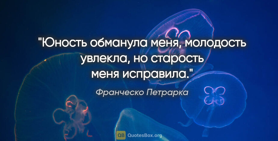 Франческо Петрарка цитата: "Юность обманула меня, молодость увлекла, но старость меня..."