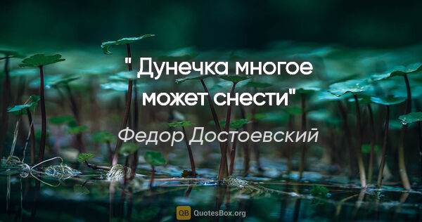 Федор Достоевский цитата: " "Дунечка многое может снести""