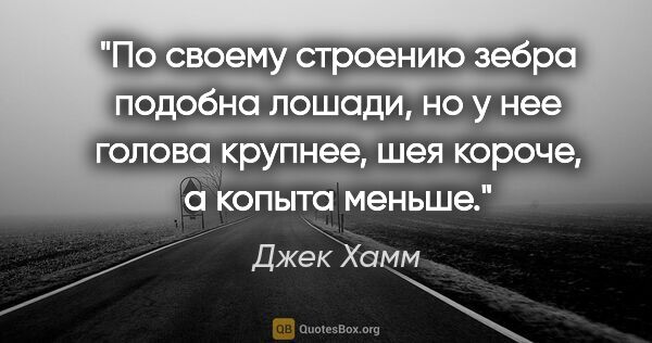 Джек Хамм цитата: "По своему строению зебра подобна лошади, но у нее голова..."