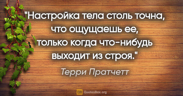 Терри Пратчетт цитата: "Настройка тела столь точна, что ощущаешь ее, только когда..."