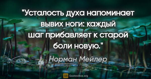 Норман Мейлер цитата: "Усталость духа напоминает вывих ноги: каждый шаг прибавляет к..."