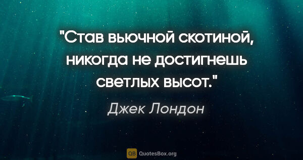 Джек Лондон цитата: "Став вьючной скотиной, никогда не достигнешь светлых высот."