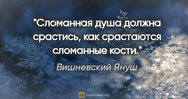 Вишневский Януш цитата: ""Сломанная душа должна срастись, как срастаются сломанные кости.""