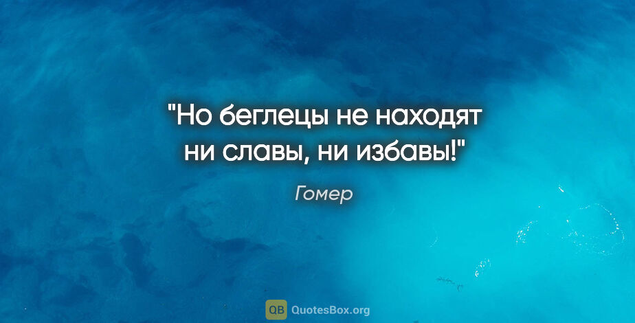 Гомер цитата: "Но беглецы не находят ни славы, ни избавы!"