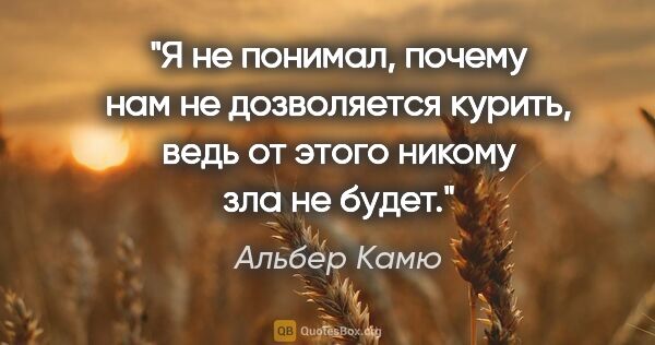 Альбер Камю цитата: "Я не понимал, почему нам не дозволяется курить, ведь от этого..."