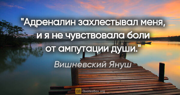 Вишневский Януш цитата: "Адреналин захлестывал меня, и я не чувствовала боли от..."