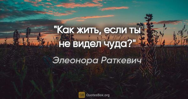 Элеонора Раткевич цитата: "Как жить, если ты не видел чуда?"