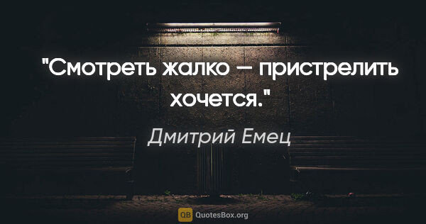 Дмитрий Емец цитата: ""Смотреть жалко — пристрелить хочется.""