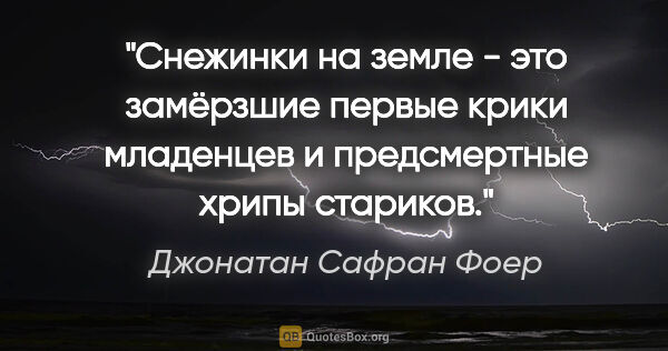 Джонатан Сафран Фоер цитата: "Снежинки на земле - это замёрзшие первые крики младенцев и..."