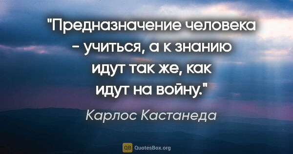 Карлос Кастанеда цитата: "Предназначение человека - учиться, а к знанию идут так же, как..."