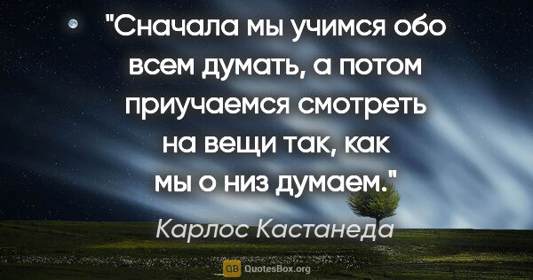 Карлос Кастанеда цитата: "Сначала мы учимся обо всем думать, а потом приучаемся смотреть..."