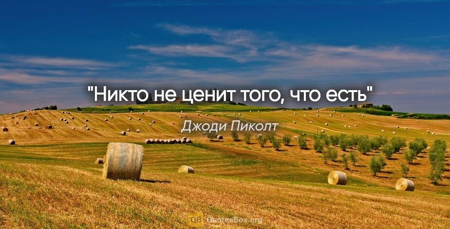 Джоди Пиколт цитата: "Никто не ценит того, что есть"