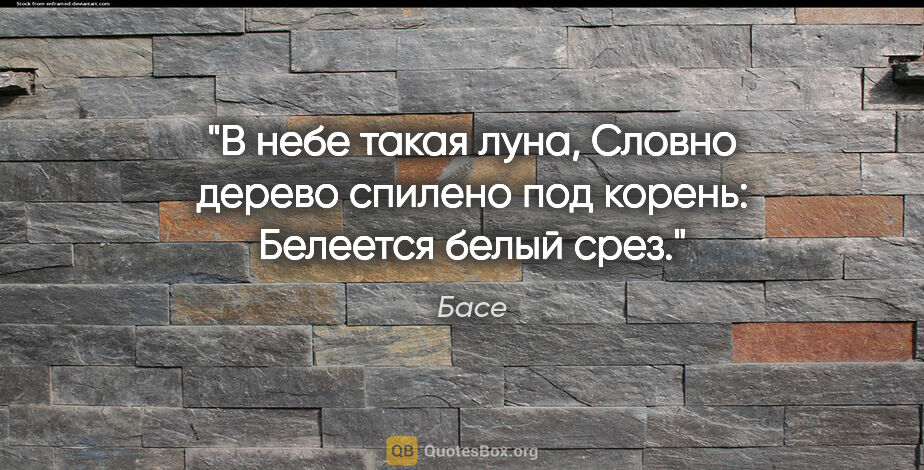 Басе цитата: "В небе такая луна,

Словно дерево спилено под..."