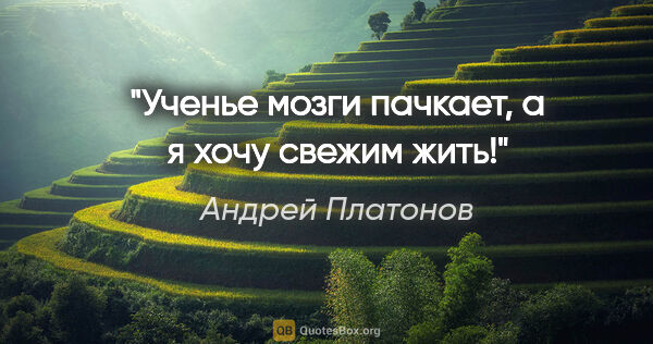 Андрей Платонов цитата: "Ученье мозги пачкает, а я хочу свежим жить!"