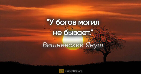 Вишневский Януш цитата: "У богов могил не бывает."