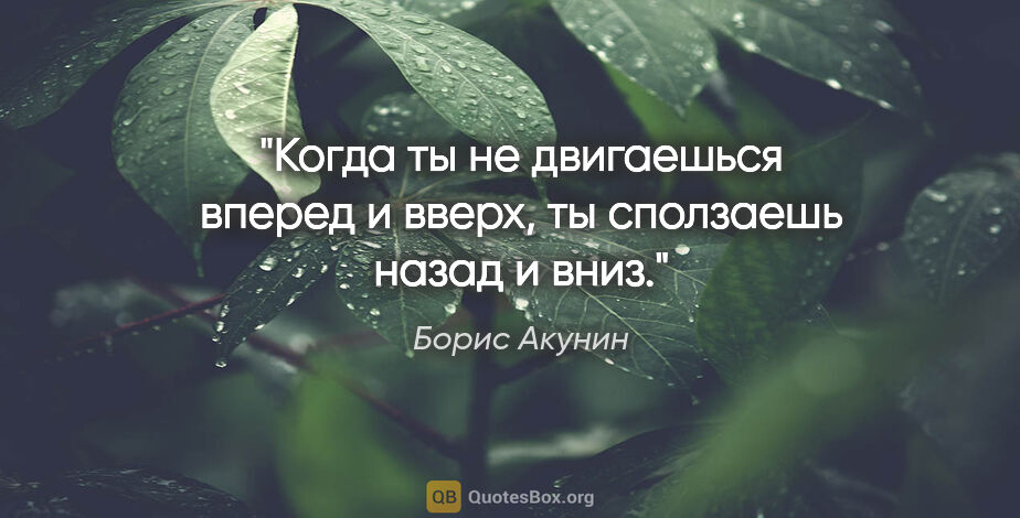 Борис Акунин цитата: "Когда ты не двигаешься вперед и вверх, ты сползаешь назад и вниз."