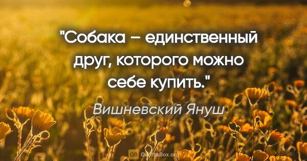 Вишневский Януш цитата: "Собака – единственный друг, которого можно себе купить."