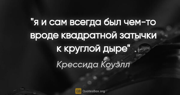 Крессида Коуэлл цитата: "я и сам всегда был чем-то вроде квадратной затычки к круглой дыре"