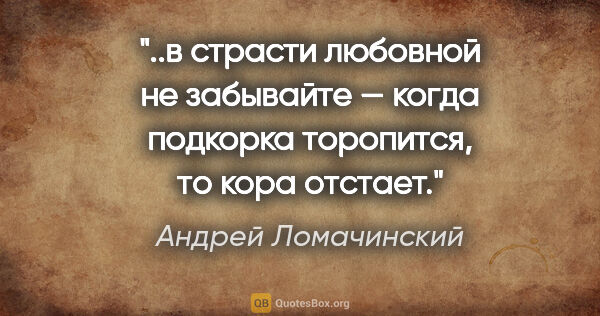 Андрей Ломачинский цитата: "в страсти любовной не забывайте — когда подкорка торопится, то..."