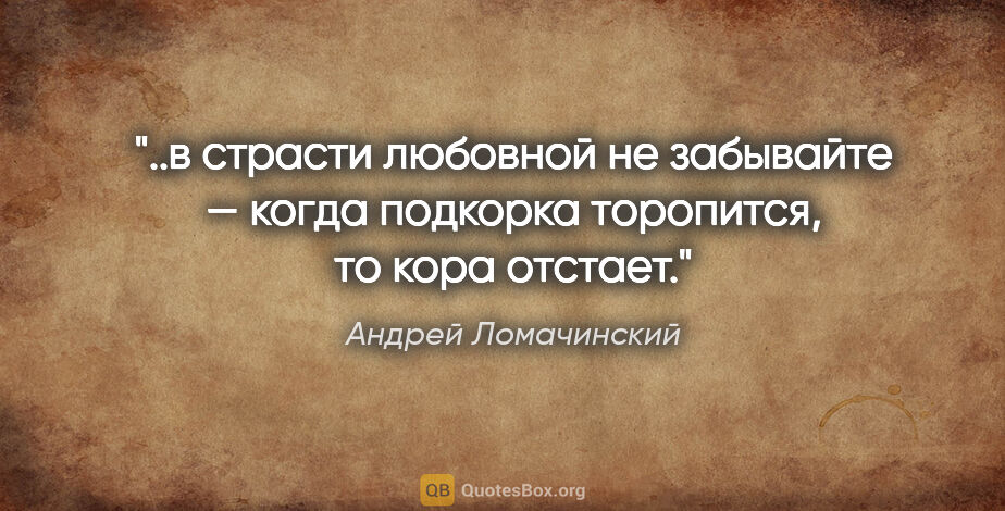 Андрей Ломачинский цитата: "в страсти любовной не забывайте — когда подкорка торопится, то..."